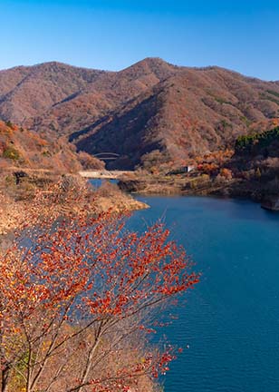 プライベートイメージ