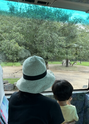 プライベートイメージ